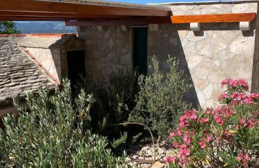 House Bepo - Foto 15