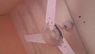 Edícula no fundo da minha casa - Foto 3