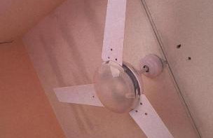 Edícula no fundo da minha casa - Foto 3