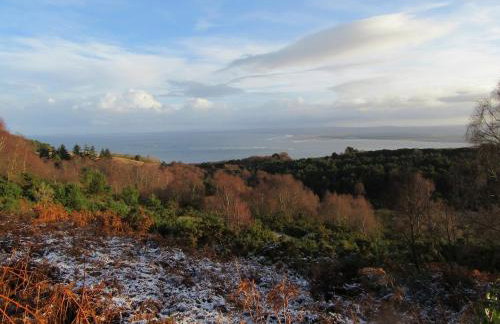 Kestrel, Longhouse Cottages - Foto 3