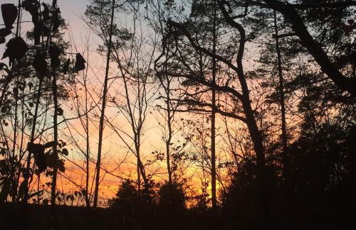 Gîte champenois les voisins - Foto 49