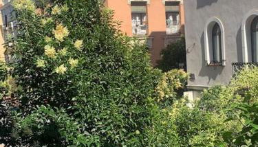 maravilloso apartamento zona financiera - Foto 2