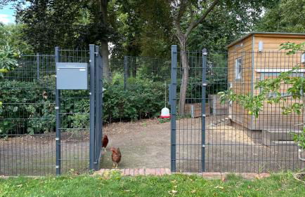 Ferienwohnung Carla Rohls - Photo 9