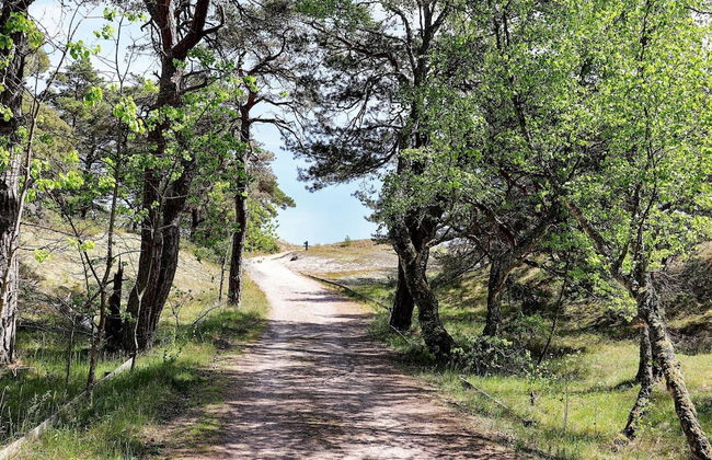 10 Person Holiday Home in Yngsjo - Photo 20