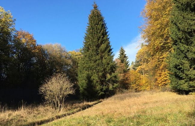 Holiday Home Tachbachtal - Photo 9