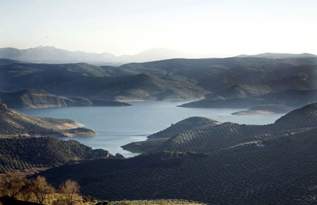 El Rincón de Carmen - Foto 47