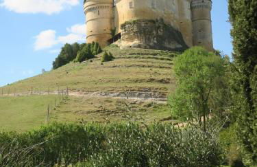 Gîte en Dordogne chez les Couz 'hôtes du Périgord - Foto 6