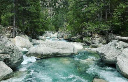 Les jardins de Saint Pancrace - Foto 48