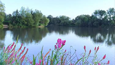 The Lake House, Woking - Photo 5