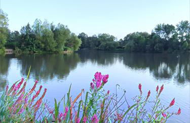 The Lake House, Woking - Photo 5