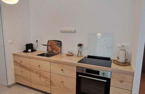 Studio neuf avec terrasse au cœur de Le Palais - FR-1-418-260 - Photo 3