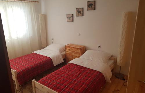 Apartmani Andrej - Photo 48