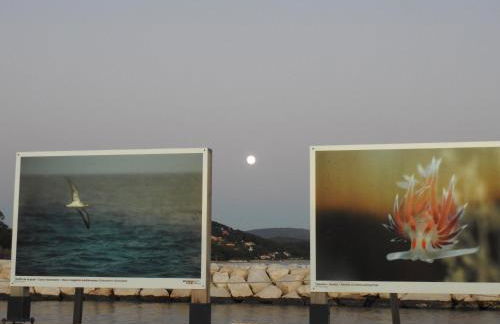 Entre mer et collines Appartement T2 - Foto 29