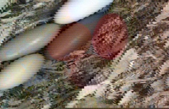 Delightful 4BD Home Full of Flair Edenbridge Kent - Foto 26