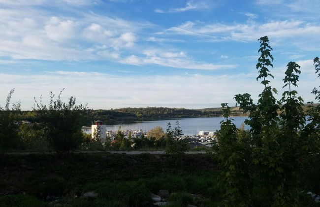 Zonnehof in het Geiseltal - Foto 28