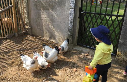 Laufenten Loft - Gutshof Dobschütz Bauernhof - Foto 5