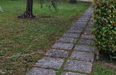 Dijana's Haus - Foto 17