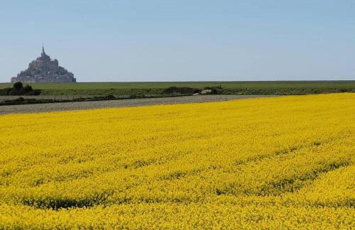 Au Mont Chez Vous #Jacuzzi et Vue Mont-St-Michel# - Foto 12