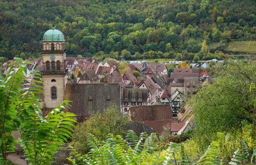 Gîte Du XVe - Photo 17