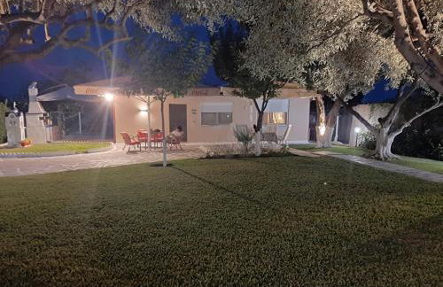 Olive TreeHouse - Foto 39