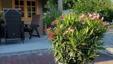 Haus Luise - Foto 5, Garden