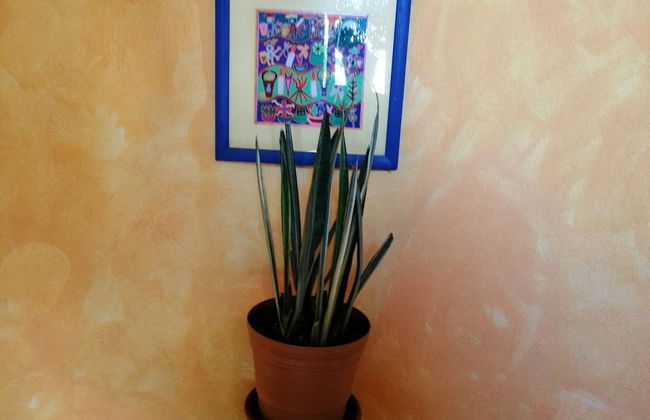 Apartment Maria Luisa - Foto 18