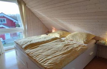 Seemöwe 1 - Foto 12