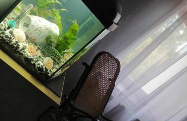 Agroturystyka u podnóża Gór Sowich - Foto 16