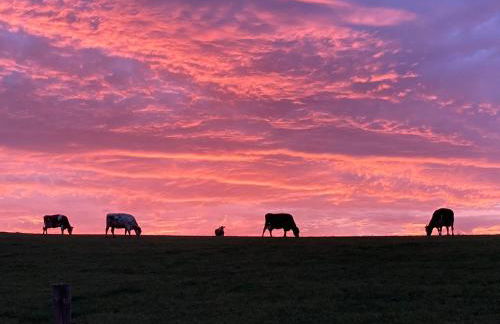 Ferienhaus Sötenicher Mühle - Foto 20
