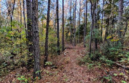 Sweet Salem Hideaway - Foto 28