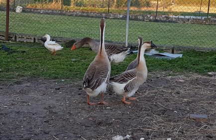 Maddy Appartamento - Foto 22