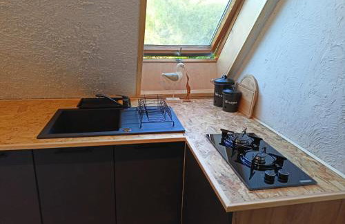 Świerkowe Siedlisko pokoje gościnne - Foto 12