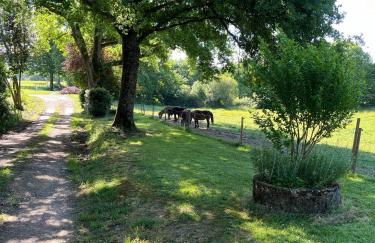 Le gîte Gabriel - Photo 8