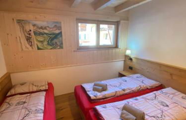 Cèsa Prinoth - Foto 44