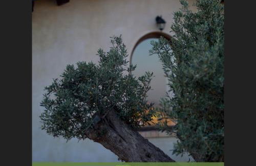 Agriturismo Paparanza - Foto 18