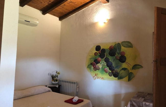 Sa Tanchitta - Foto 3