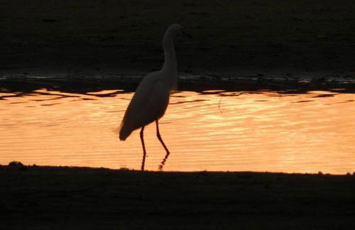 Sobrado do Papagaio - Foto 27