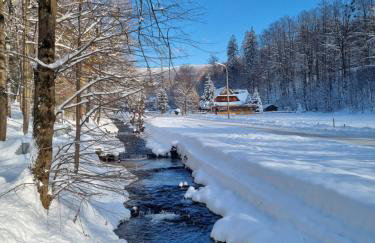 Apartamenty 39 z pięknym ogrodem - Photo 55
