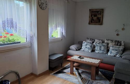 Agroturystyka u Danika - Foto 13