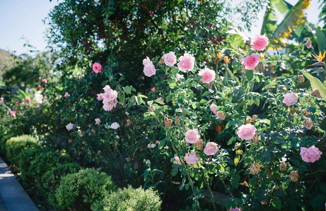 Casa Rural El Patio de Tita - Foto 35