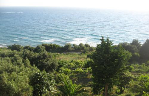 Areti Studios - Foto 58