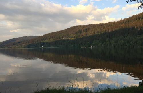 Titisee Haus Vogelnest - Photo 61