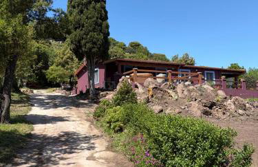 Villa Veronica - Photo 2