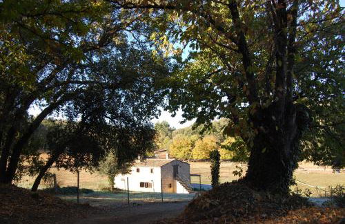 Finca El Zurrador - Foto 39