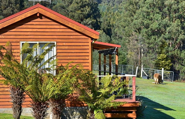 Maydena Mountain Cabins - Foto 23