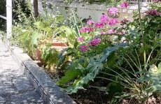 Nice house in Euboea - Foto 40