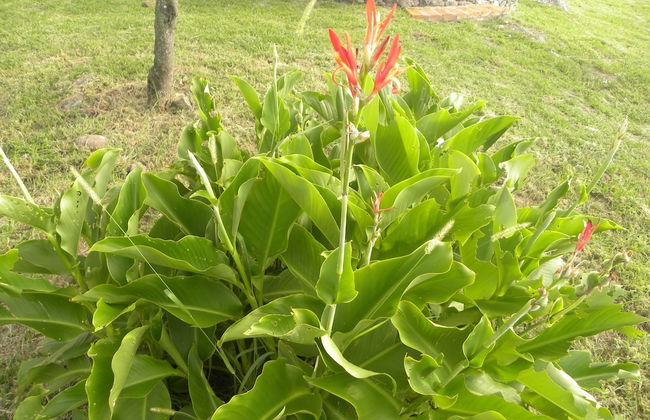 Vistahermosa - Foto 32