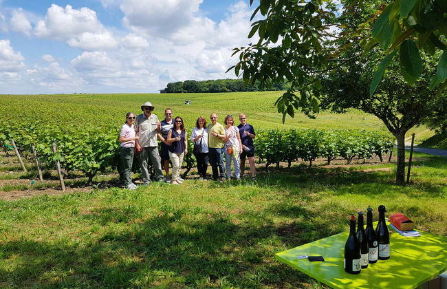 Loire Valley Wine Tour - Photo 8