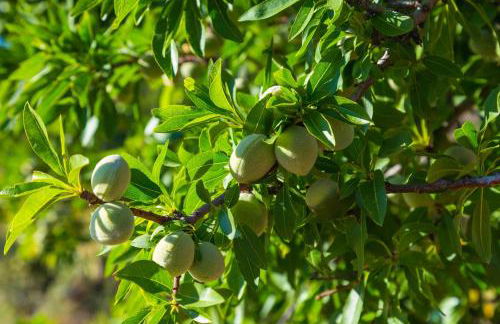 Matisé Home Relax - Foto 33