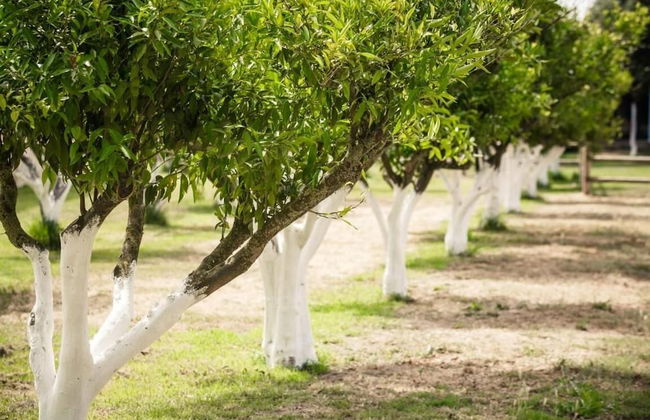 Agriturismo Archelao - Photo 34